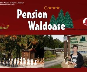 Pension Waldoase Hirschbuchenkopf Guntersberge Germany