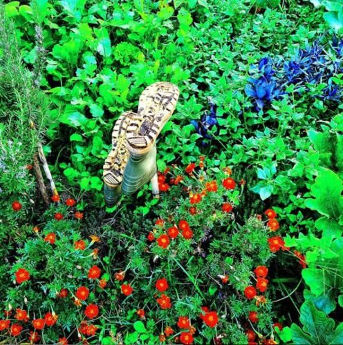 صورة الفندق 11