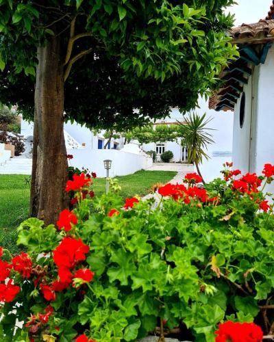 صورة الفندق 14