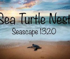Seascape 1320 Condo Galveston United States