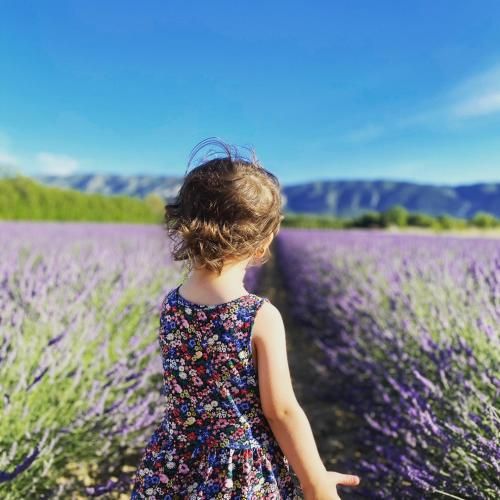 صورة الفندق 16