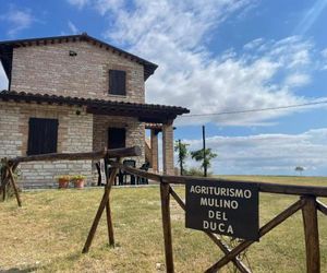 Agriturismo Mulino del Duca Urbino Italy
