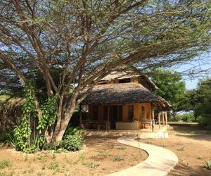 Mangrove House Lamu Kenya