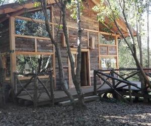 Wonderful rustic cottage with native logs, with river Trancura Menetue Chile