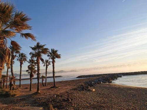 صورة الفندق 16