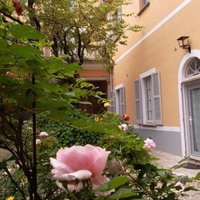 NearBy Hotel