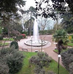 NearBy Hotel