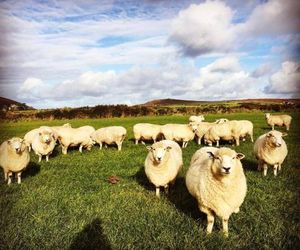 Buthyn Dowr Farmhouse B&B St. Ives United Kingdom
