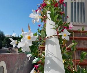 Casa Vacanza Anacapri Sunrise Anacapri Italy