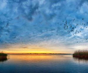 Manzini Holiday Resort St. Lucia Estuary South Africa