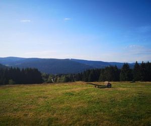 Gite De La Ferme Du Levant Gerardmer France