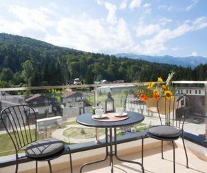 Cozy Apartments Sinaia Romania