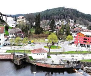 Ferienwohnung Enzblick Bad Wildbad im Schwarzwald Germany