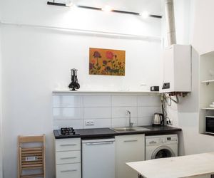 Ploshcha Rynok Apartment Lvov Ukraine