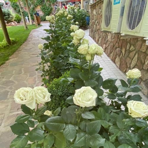 صورة الفندق 2