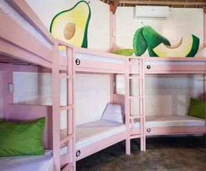 Avocado Tree Hostel Cabuntog Philippines