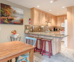 Alpine Villa Condo Walk to Town Ketchum United States