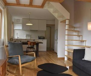 Apartment Chanrossa - en garnet Meribel France