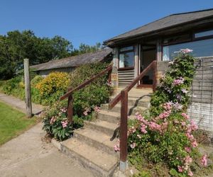 The Bushel, BIDEFORD Bideford United Kingdom