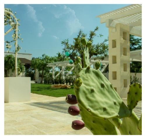 صورة الفندق 11