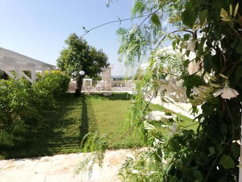 صورة الفندق 13