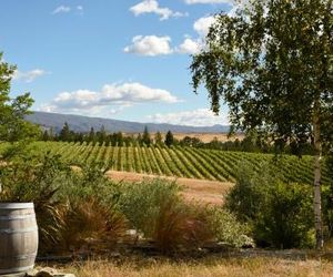 Grey Ridge Vineyard Experience Alexandra New Zealand