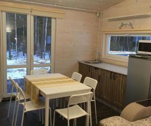 Scandi tiny home Petrozavodsk Russia