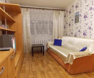 Apartment on Desyatinnaya 2 Velikiy Novgorod Russia