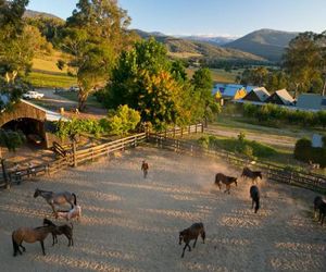 Spring Spur Mount Beauty Australia