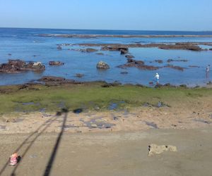 Albatros - Playa de las Canteras Gran Canaria Island Spain