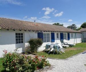 Les Cigales du Bassin Gujan-Mestras France