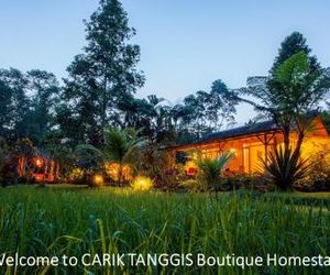 Carik Tangis Boutique Homestay Munduk Indonesia