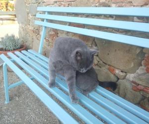 Ai Bastiani Capannori Italy