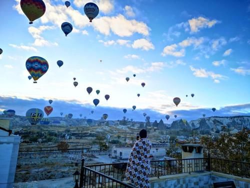 صورة الفندق 16