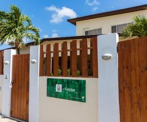 Little Cactus Apartments Aruba Eagle Beach Aruba