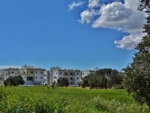 صورة الفندق 2