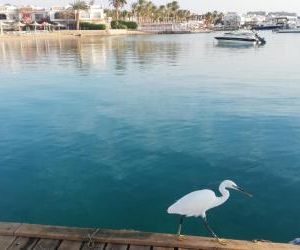 Studio Chalet Lotus Compound Hurghada Egypt