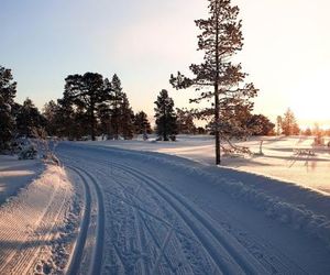 Casa Levi Luxury Chalet, 27 Etelärakka Levi Finland