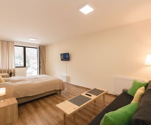 Studio Mountain View Sinaia Romania