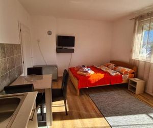 Bisa Banja Aleksinacka Serbia