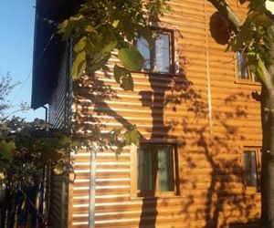 Базилік Yaremche Ukraine