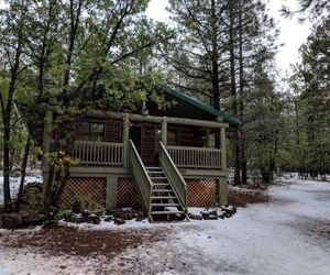 Cozy Cub Log Cabin - Year Round Tranquil Beauty Pinetop United States