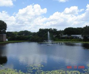 Beautiful Condo Close to Busch Gardens Lutz United States