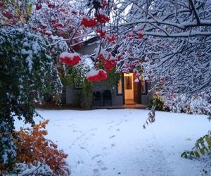 Torcazas Bariloche Argentina
