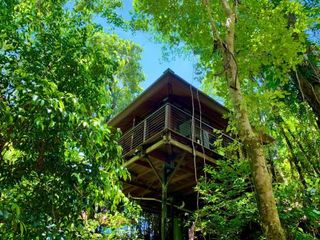 Фото отеля Cairns Rainforest Retreat