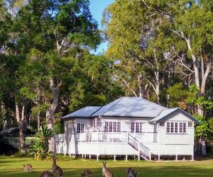 Lake Weyba Noosa Lodge & Kangaroos Noosaville Australia