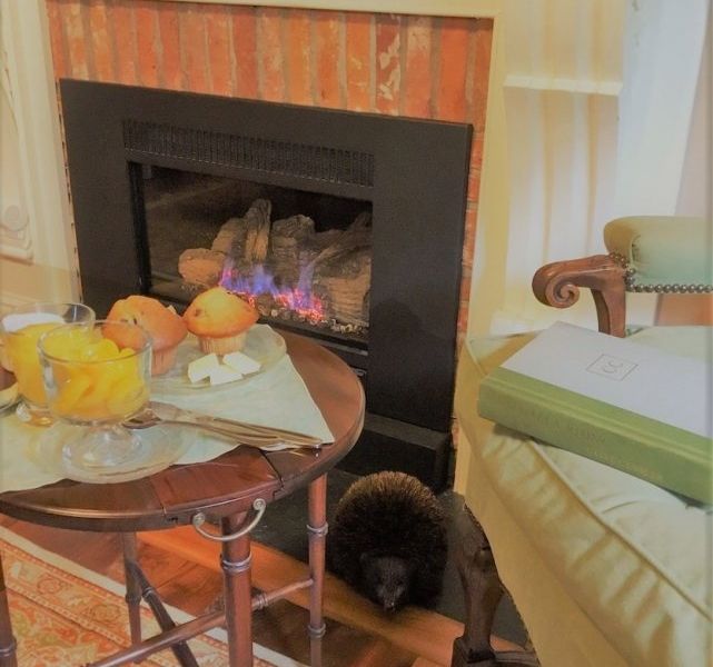 Hotel Photo 4