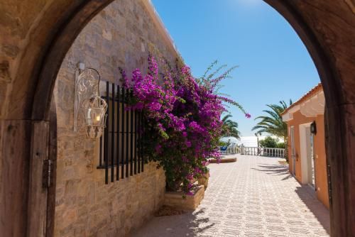 صورة الفندق 8