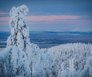 Alppitähtikeskus as 4 Levi Finland