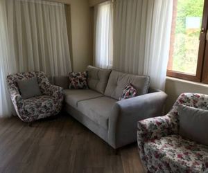 Apartments in Hotel Orbi Palace Borjomi Georgia